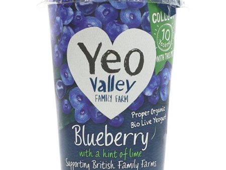 Blueberry Yoghurt Organic PRE ORDER REQ D on Sale