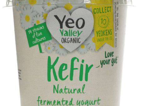 Natural Kefir Yoghurt Organic Supply