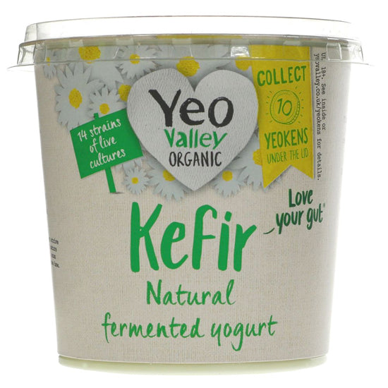 Natural Kefir Yoghurt Organic Supply